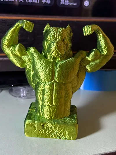 https://makerworld.bblmw.com/makerworld/comment/20260328/4170216325/907293cdb195218f.jpg