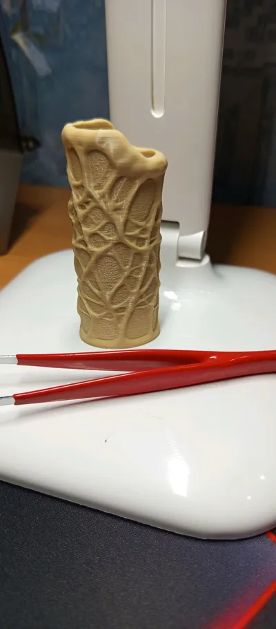https://makerworld.bblmw.com/makerworld/comment/20260329/1720102534/ffea3d68196bad26.jpg