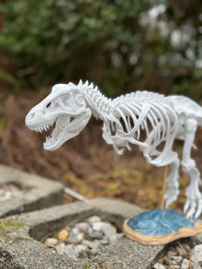 https://makerworld.bblmw.com/makerworld/comment/20260330/3040617098/7fe0a29ee9d5e3a5.jpg