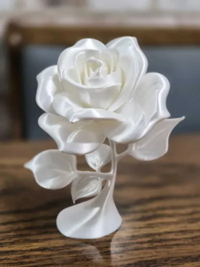 https://makerworld.bblmw.com/makerworld/comment/20260331/2960840914/f5a269bd67b159c0.jpg
