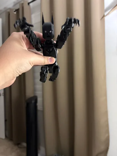 https://makerworld.bblmw.com/makerworld/comment/20260331/4161873323/ca64e71fbb933242.jpg