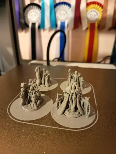 https://makerworld.bblmw.com/makerworld/comment/20260331/556723705/4b3cf590b23f1802.jpg