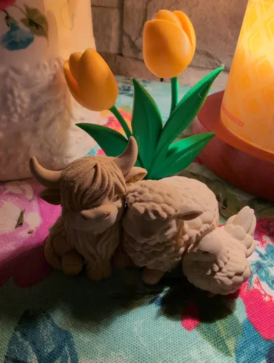 https://makerworld.bblmw.com/makerworld/comment/20260401/2562535617/6e76f62678fbbc26.jpg
