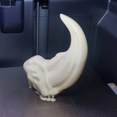https://makerworld.bblmw.com/makerworld/comment/20260402/1410146789/81238e3a09fc8f3e.jpg