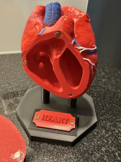 https://makerworld.bblmw.com/makerworld/comment/20260402/3494769284/0defbb9b60b2140e.jpg
