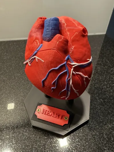 https://makerworld.bblmw.com/makerworld/comment/20260402/3494769284/d2d9987707c38048.jpg