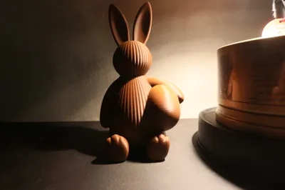 https://makerworld.bblmw.com/makerworld/comment/20260403/952215309/bd98fd41ba4d4692.jpg