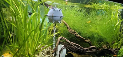 https://makerworld.bblmw.com/makerworld/comment/20260404/3613454920/075302ff5c1392cb.jpg