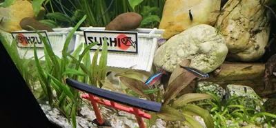 https://makerworld.bblmw.com/makerworld/comment/20260404/3613454920/c5b3fa45a61cde81.jpg