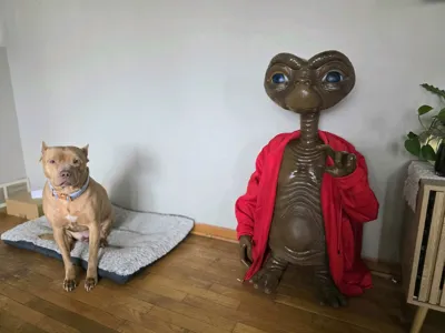 https://makerworld.bblmw.com/makerworld/comment/20260406/3177805033/6048fdee1e7c377f.jpg