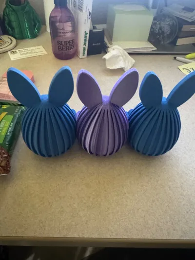 https://makerworld.bblmw.com/makerworld/comment/20260406/3853828543/266addaca5c1c232.jpg
