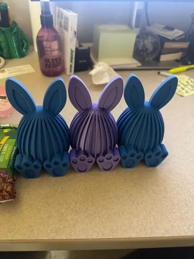 https://makerworld.bblmw.com/makerworld/comment/20260406/3853828543/b69f568f8c054ee2.jpg