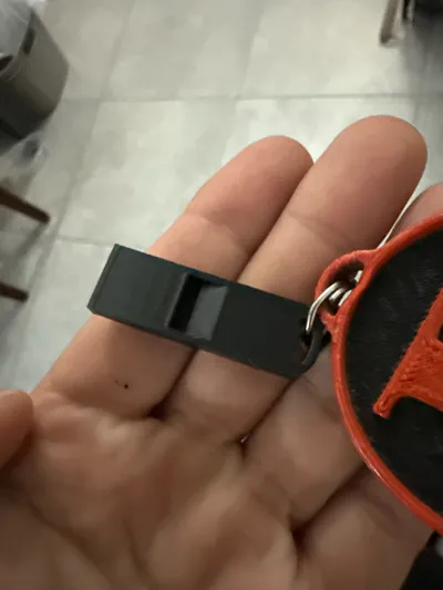 https://makerworld.bblmw.com/makerworld/comment/20260407/2372308117/300a3b5192d53b80.jpg