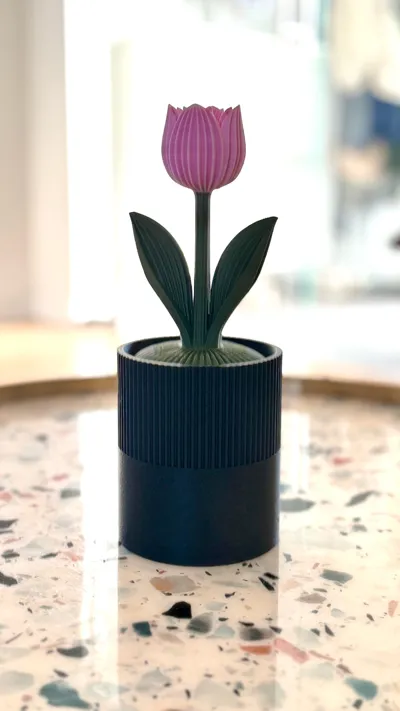 https://makerworld.bblmw.com/makerworld/comment/20260408/1184326741/36418b19c4707e63.jpg