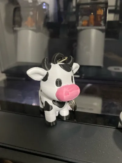 https://makerworld.bblmw.com/makerworld/comment/20260408/1292120900/6d02d45e09ef17d5.jpg