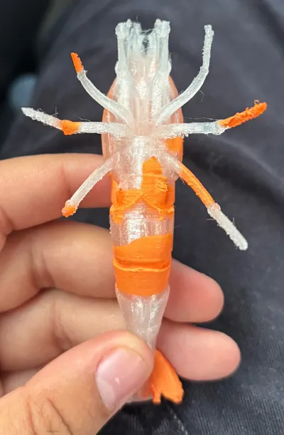 https://makerworld.bblmw.com/makerworld/comment/20260409/2717408582/4c1d9bc3be7dca82.jpg