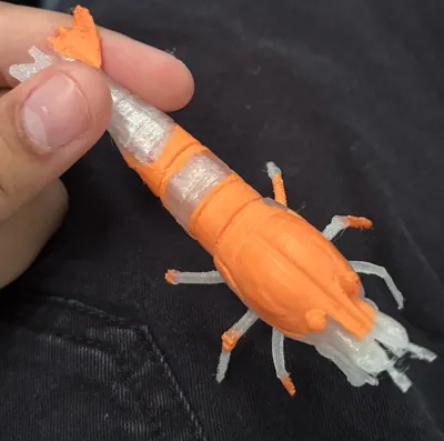 https://makerworld.bblmw.com/makerworld/comment/20260409/2717408582/fbd8c967ce1cb273.jpg