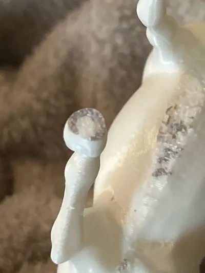 https://makerworld.bblmw.com/makerworld/comment/20260409/3391883860/5a913c70918acce6.jpg