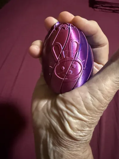 https://makerworld.bblmw.com/makerworld/comment/20260411/568674131/5fd4f1e879a14de1.jpg