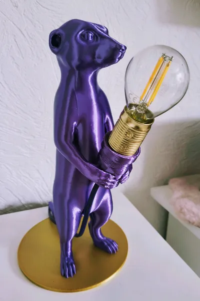 https://makerworld.bblmw.com/makerworld/comment/20260412/920426599/38cca6c597820956.jpg
