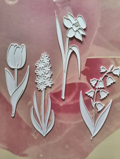 https://makerworld.bblmw.com/makerworld/comment/20260412/920426599/ff374ca65b874884.jpg