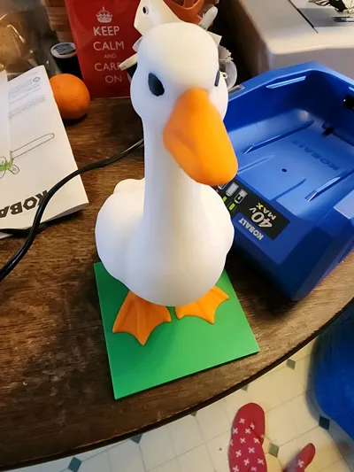 https://makerworld.bblmw.com/makerworld/comment/20260413/2516275747/d47ee3b8340de386.jpg