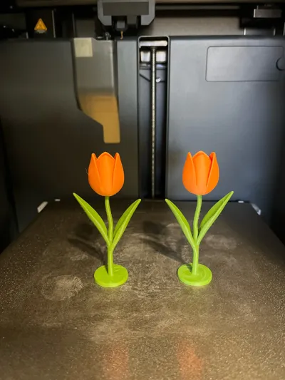 https://makerworld.bblmw.com/makerworld/comment/20260414/2230385200/2f6e137d5da0f437.jpg