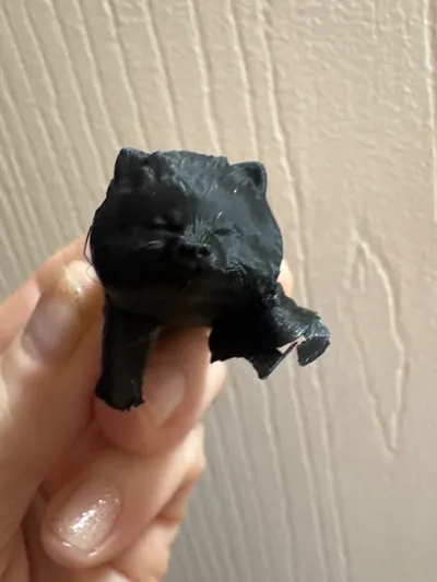 https://makerworld.bblmw.com/makerworld/comment/20260414/3853828543/8566b973df225b65.jpg