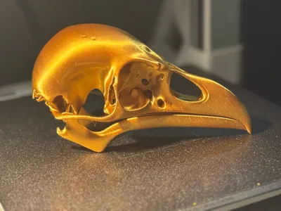 https://makerworld.bblmw.com/makerworld/comment/20260415/3040617098/dff876d0978fc12d.jpg