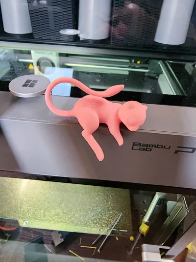 https://makerworld.bblmw.com/makerworld/comment/20260416/2516275747/72d5aa18bf94eae1.jpg