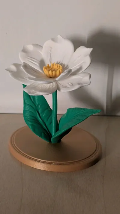 https://makerworld.bblmw.com/makerworld/comment/20260417/2212502518/31e5a2fb81f01064.jpg