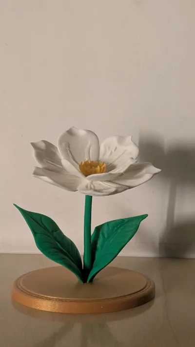 https://makerworld.bblmw.com/makerworld/comment/20260417/2212502518/502c4ec909fc1a2a.jpg