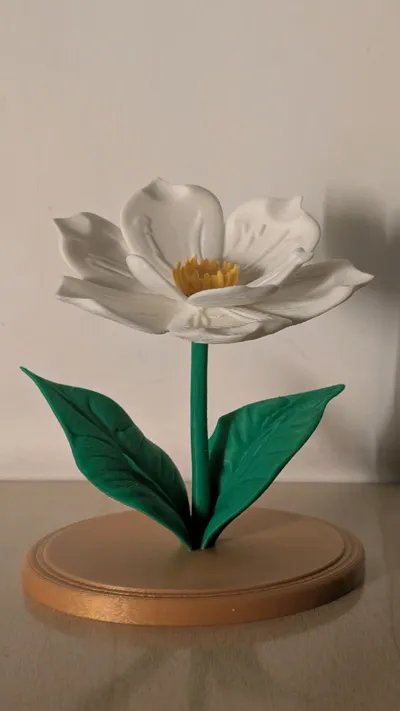 https://makerworld.bblmw.com/makerworld/comment/20260417/2212502518/cb278e103f824da3.jpg