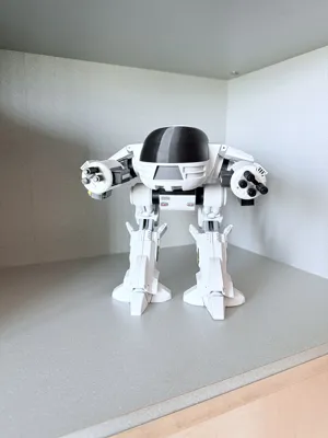 https://makerworld.bblmw.com/makerworld/comment/20260417/4171089979/17b5253c9a381d72.jpeg