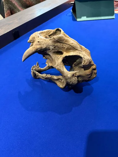 https://makerworld.bblmw.com/makerworld/comment/20260418/1110925518/6c9c489ece92d4f9.jpg