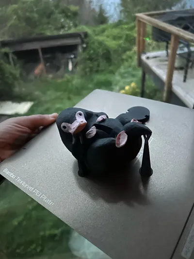 https://makerworld.bblmw.com/makerworld/comment/20260418/1835407849/a50d7a63ea3ac5da.jpg