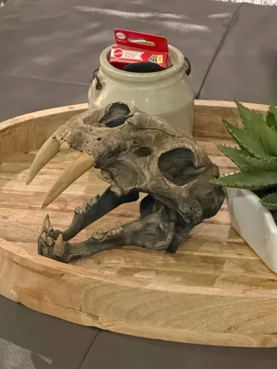 https://makerworld.bblmw.com/makerworld/comment/20260419/1110925518/0e6ae44f7da416f8.jpg