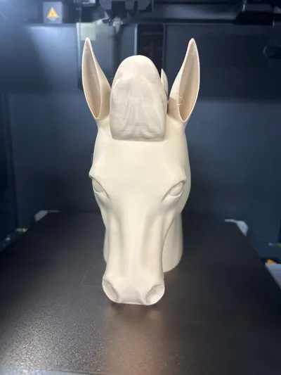 https://makerworld.bblmw.com/makerworld/comment/20260423/2942011746/47aa17f4c5629b3f.jpg