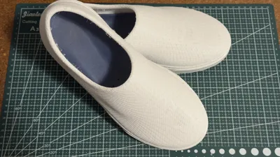 https://makerworld.bblmw.com/makerworld/comment/20260425/2145382740/3fa0fff86ea55d30.jpg