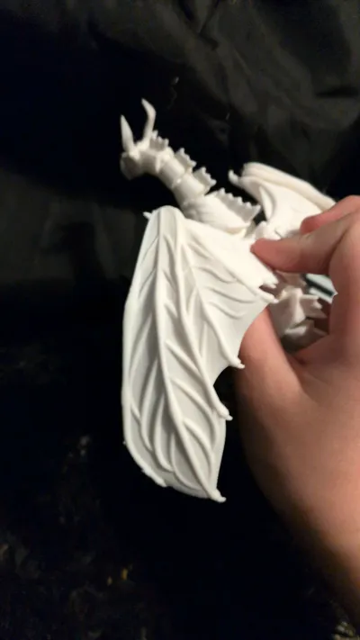 https://makerworld.bblmw.com/makerworld/comment/20260425/55836175/f4846661c62d3055.jpg
