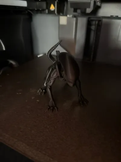 https://makerworld.bblmw.com/makerworld/comment/20260504/798975254/8720cf7abd70a2ac.jpg