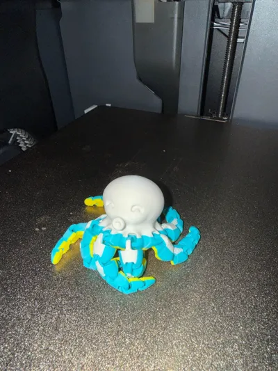https://makerworld.bblmw.com/makerworld/comment/20260504/798975254/d6d58e51e34bb10c.jpg