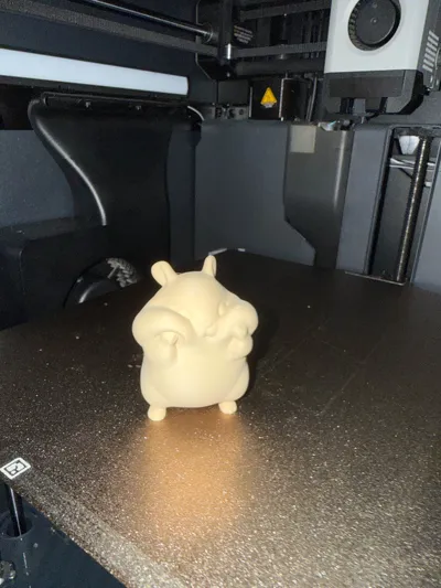https://makerworld.bblmw.com/makerworld/comment/20260504/798975254/e67ad2f12925f0d0.jpg