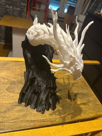 https://makerworld.bblmw.com/makerworld/comment/20260506/2186525593/96aba5470358daad.jpg