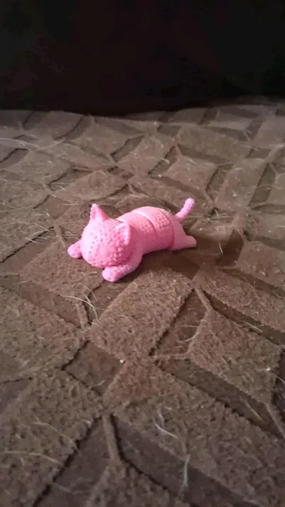 https://makerworld.bblmw.com/makerworld/comment/20260506/2347785080/23adcee42bdc44f1.jpg