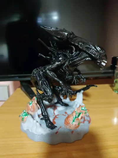 https://makerworld.bblmw.com/makerworld/comment/20260508/2643206542/096735d505643004.jpg