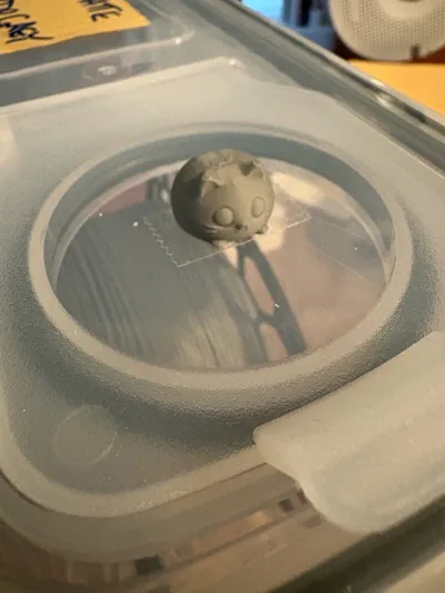 https://makerworld.bblmw.com/makerworld/comment/20260508/31739300/0752e7ebdd8d6406.jpg
