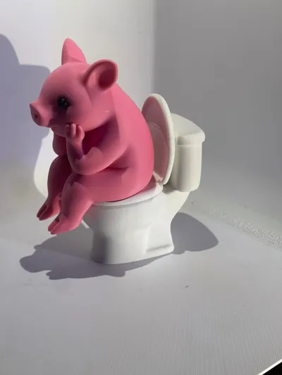 https://makerworld.bblmw.com/makerworld/comment/20260508/3686222472/5168d03fb2c72c87.jpeg