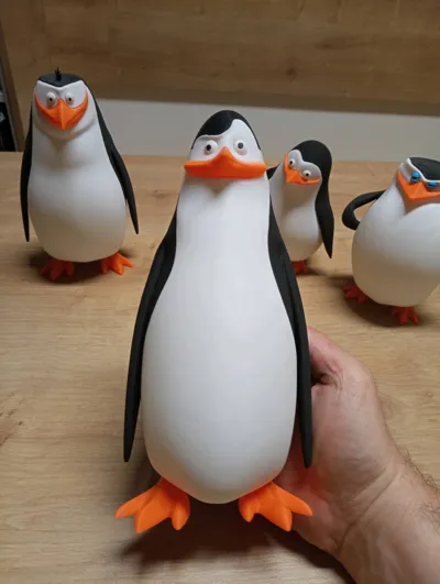 https://makerworld.bblmw.com/makerworld/comment/20260511/3877124398/8b97524cfec295d5.jpg