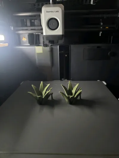 https://makerworld.bblmw.com/makerworld/comment/20260512/1896930495/5da70ad5a4d646ac.jpg